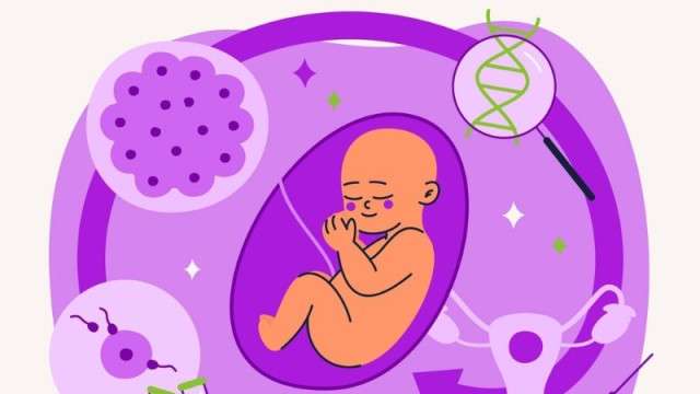 İlk denemede tüp bebek haberi