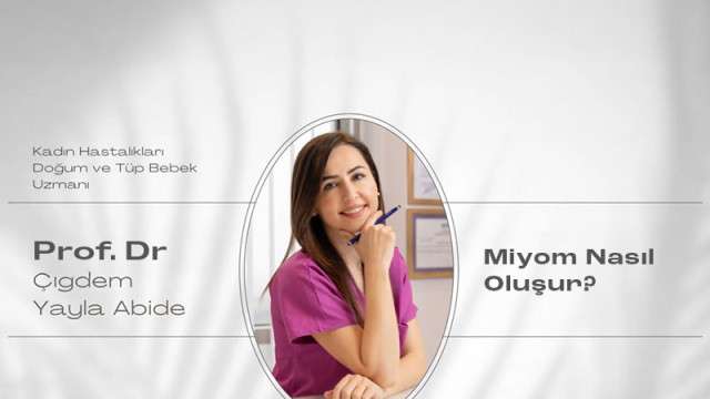 video,paylaşım,kameralı telefon,videofon,ücretsiz,yükleme