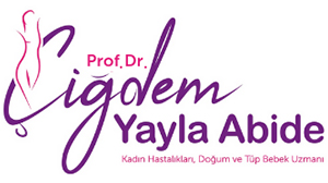 profdrcigdem-yayla-abide